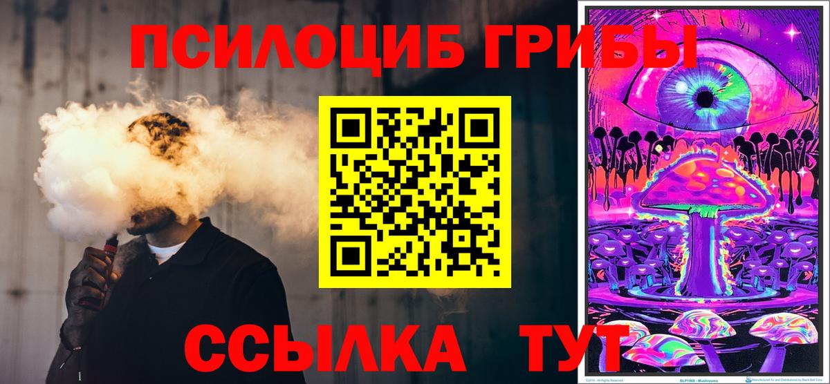 Галлюциногенные грибы прущие грибы  Вход с VPN  Вичуга 